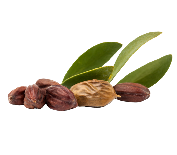 jojoba