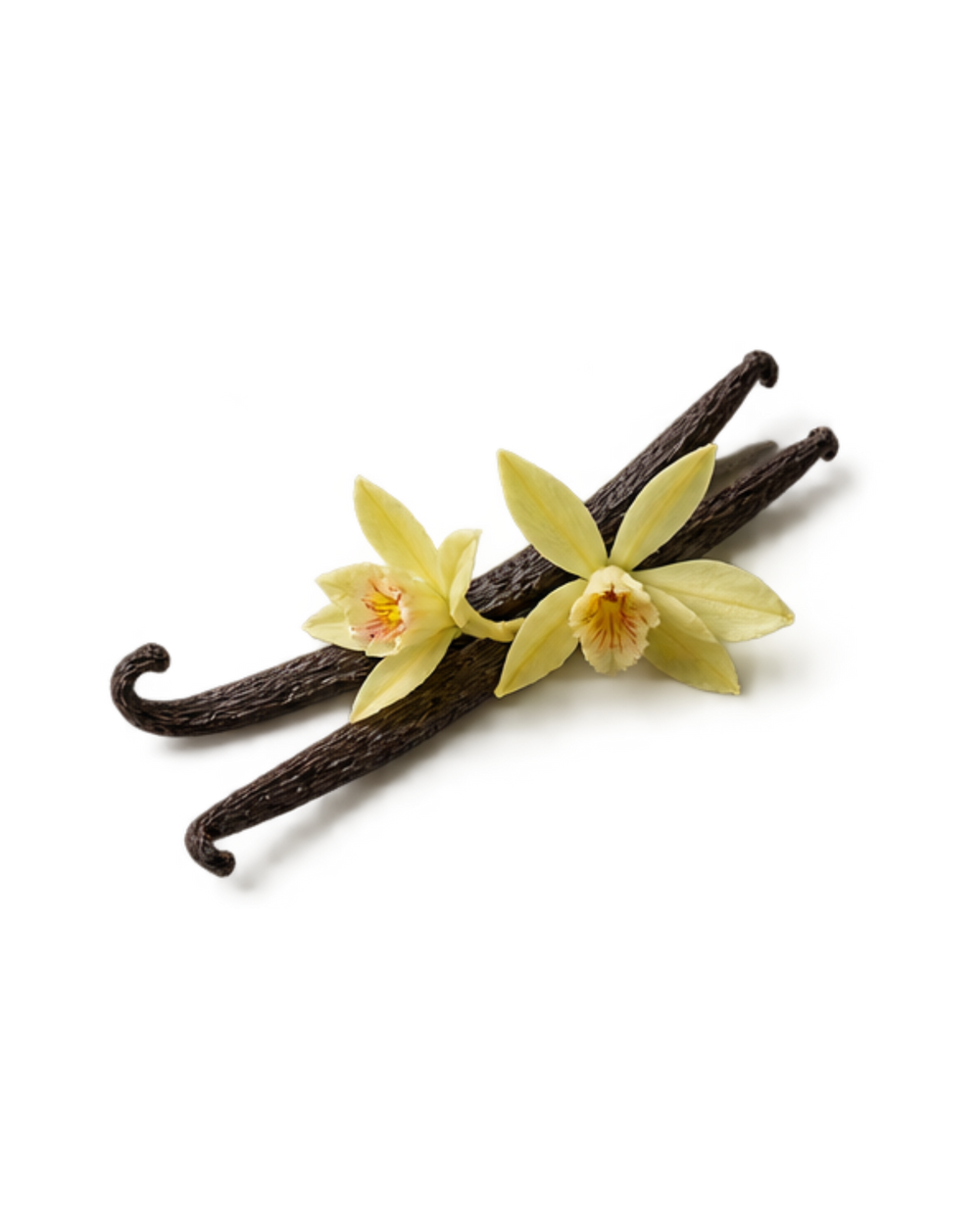 vanilla essential oil
