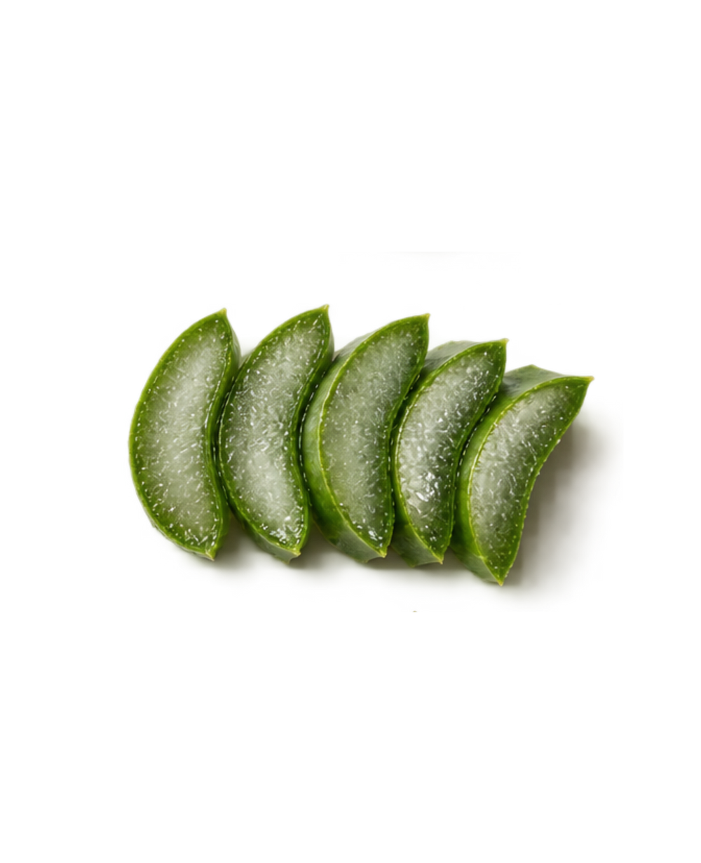 aloe vera oil extract