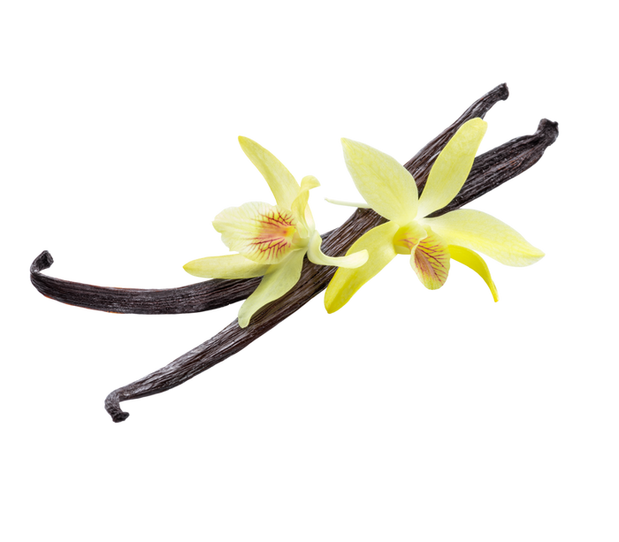 vanilla